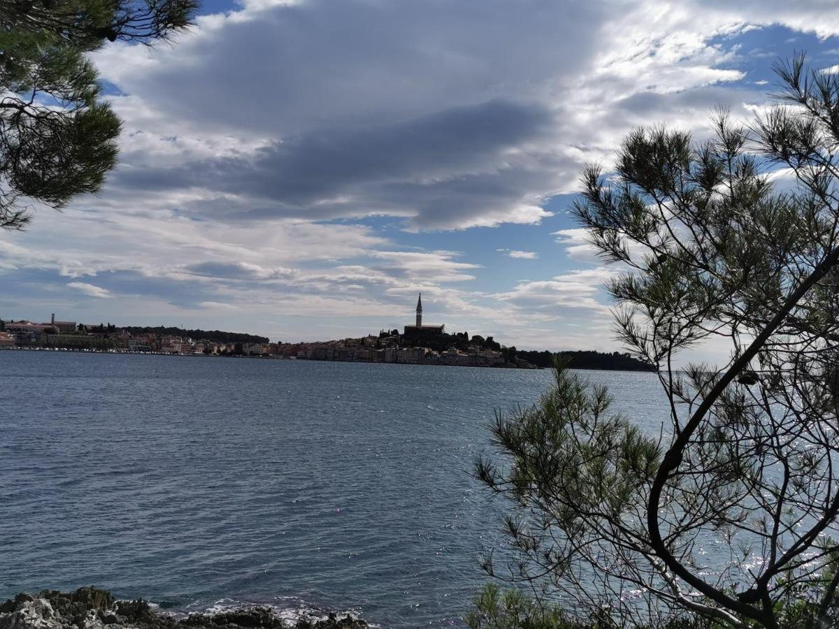 Apartments Sandra Rovinj Exteriér fotografie